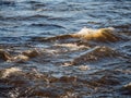 Quick water flow in a river, Nature background. Selective focus