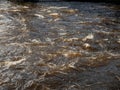 Quick water flow in a river, Nature background. Selective focus Royalty Free Stock Photo