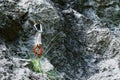 Quickdraw with silver and orange carabiners hanging from a bolt, near a strand of green grass, on a climbing route in Romania