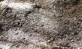 Quicklime recondition soil Royalty Free Stock Photo