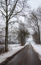 Quiet asphalt road in a wintry snow landscape