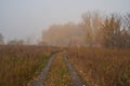 A quiet autumn dawn over the lake in sunlight. Fresh fog creeps over the ground Royalty Free Stock Photo