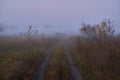 A quiet autumn dawn over the lake in sunlight. Fresh fog creeps over the ground Royalty Free Stock Photo