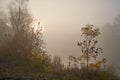 A quiet autumn dawn over the lake in sunlight. Fresh fog creeps over the ground Royalty Free Stock Photo