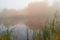 A quiet autumn dawn over the lake in sunlight. Fresh fog creeps over the ground Royalty Free Stock Photo