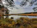 Quiet backwater. Autumn forest. Clear sky