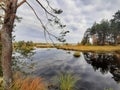 Quiet backwater. Autumn forest. Clear sky