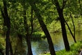 Quiet backwater of the city pond.