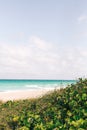 Quiet tropical beach with clear water Royalty Free Stock Photo