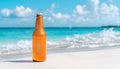 A quiet beach with one bottle sticking out of the surf Royalty Free Stock Photo