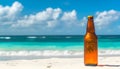 A quiet beach with one bottle sticking out of the surf Royalty Free Stock Photo