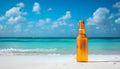 A quiet beach with one bottle sticking out of the surf Royalty Free Stock Photo