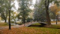 a quiet morning city park with a bridge over a narrow river, a concrete walkway with street lamps, trees, fallen leaves and a Royalty Free Stock Photo