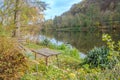 Quiet bench at Park by river Berunka Fall Autumn Trees. Autumn morning light Royalty Free Stock Photo