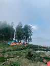 Quiet camp near the mount rinjani lake, West Nusa Tenggara