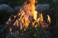 Quiet campfire at warm summer day. Royalty Free Stock Photo