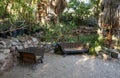 Quiet corner of a green garden with a bench