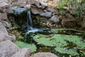 Quiet corner of a green garden with pond