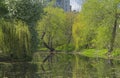 A quiet corner of the old city pond. Royalty Free Stock Photo