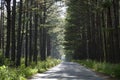 Quiet country road on a sunny day