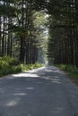 Quiet country road on a sunny day