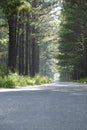 Quiet country road on a sunny day