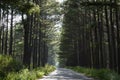 Quiet country road on a sunny day