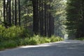 Quiet country road on a sunny day