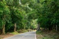 Quiet Country road with trees both side in Cambodia, siem reap_image.