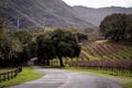 Windy Roads through Wine Country Royalty Free Stock Photo