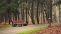 Quiet deserted autumn city park with fallen orange leaves, a wooden bench to rest along the alley and a slight haze Royalty Free Stock Photo