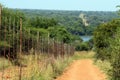 Quiet dirt road towards the blue river in the valley among the green vegetation, Pilanesberg National Park, Sun City, South Africa