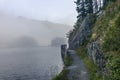 The quiet douglas tree woods on the shore of the lake of Silvaplana in the Engadin valley at sunrise with the fog over the water Royalty Free Stock Photo