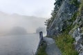 The quiet douglas tree woods on the shore of the lake of Silvaplana in the Engadin valley at sunrise with the fog over the water Royalty Free Stock Photo