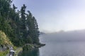 The quiet douglas tree woods on the shore of the lake of Silvaplana in the Engadin valley at sunrise with the fog over the water Royalty Free Stock Photo