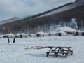 A quiet evening at ger (tent) camp resort, Bogd Khaan valley, Mongolia.