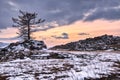 Quiet evening in Tazheran steppe