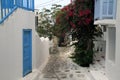 A quiet footpath with flowers going through Mykonos