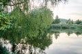 Quiet forest lake with algae surrounded by trees, bushes and reeds