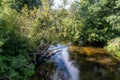 Quiet forest river on a sunny summer day. reflections of the trees in river. forest landscape Royalty Free Stock Photo