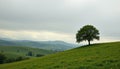 quiet hillside under overcast sky rolling hills stretch into the distance beneath a soft overcast sky diffusing light ev