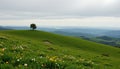 quiet hillside under overcast sky rolling hills stretch into the distance beneath a soft overcast sky diffusing light ev