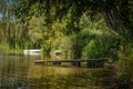 Quiet lake lagoon in the shade of coastal trees