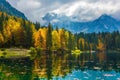 The forests are reflected in the water Royalty Free Stock Photo