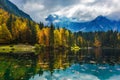 Forests are reflected in the greeen water Royalty Free Stock Photo