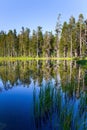 Quiet round lake. USA