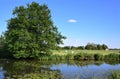 Quiet landscape in Bavaria, by a pond with water lilies, trees and agricultural fields, against a blue sky Royalty Free Stock Photo