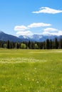 A quiet meadow filled with wildflowers, a clear blue sky, and a distant mountain range Royalty Free Stock Photo