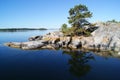 A quiet morning in the archipelago of stockholm