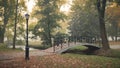 a quiet morning city park with a bridge over river, a concrete walkway with street lamp, trees, fallen leaves and a light foggy